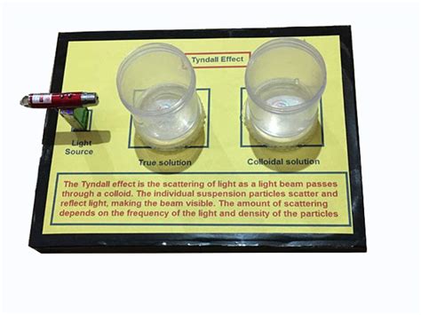 Buy PROJECT HUB Tyndall Effect Chemistry Ready to Use Project & Model ...