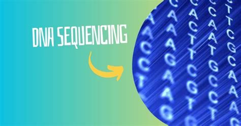 Image result for High Throughput Sequencing Applications