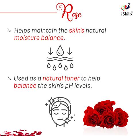 Rose Face & Body Oil – ishilps