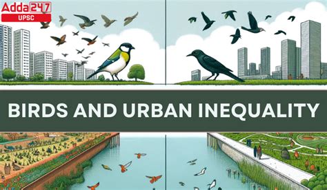 Birds and Urban Inequality: Civic Design, and Biodiversity Conservation