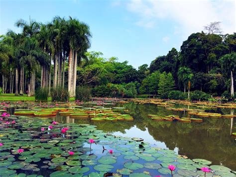 DSC04244----中国科学院西双版纳热带植物园