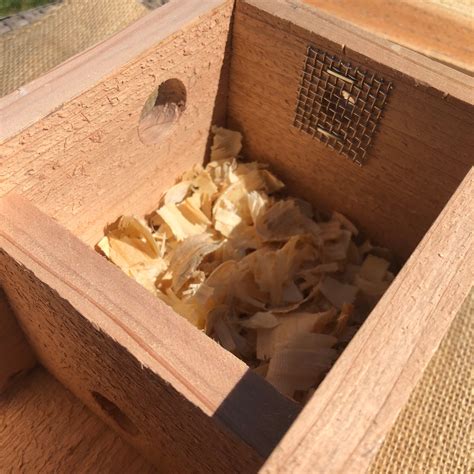 How to Make a Bumble Bee House 的图像结果