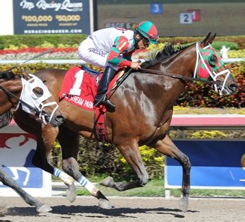 Ribo Bobo earns third straight win in inaugural Caixa Eletronica ...