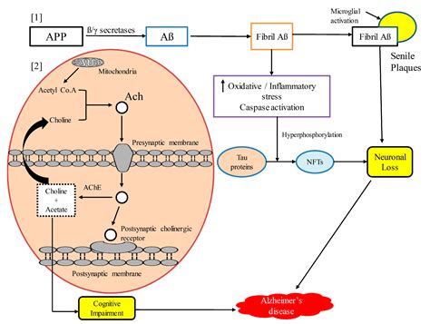 Neuroprotective Effects of Quercetin in Alzheimer’s Disease
