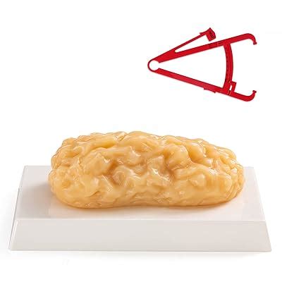Ultrassist 2.5 lbs Human Body Fat Model, Fat India | Ubuy