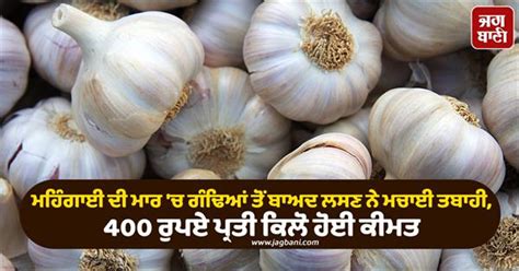 ਮਹਿੰਗਾਈ ਦੀ ਮਾਰ 'ਚ ਗੰਢਿਆਂ ਤੋਂ ਬਾਅਦ ਲਸਣ ਨੇ ਮਚਾਈ ਤਬਾਹੀ, 400 ਰੁਪਏ ਪ੍ਰਤੀ ...
