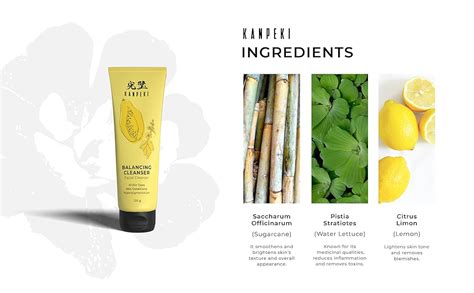 Kanpeki - Balancing Cleanser | Facial Cleanser | Reduces ...