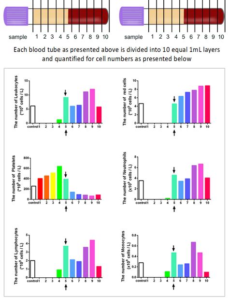 PRF Protocol 的图像结果