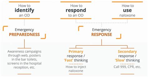 Image result for Emergency Department Contingency Plan