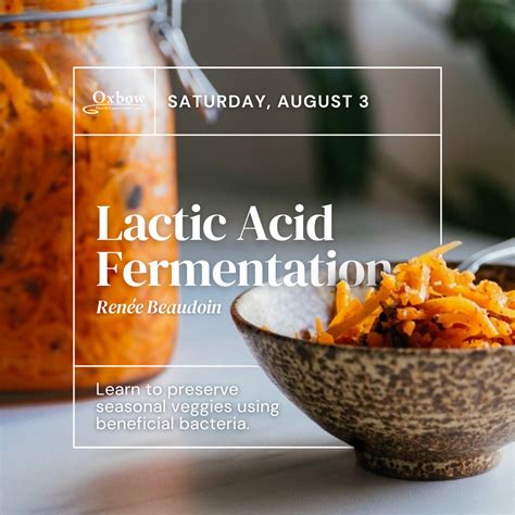 Lactic Acid Fermentation Workshop | Oxbow Farm & Conservation Center