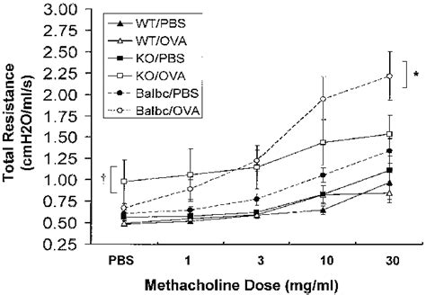 Image result for Methacholine Report Layout