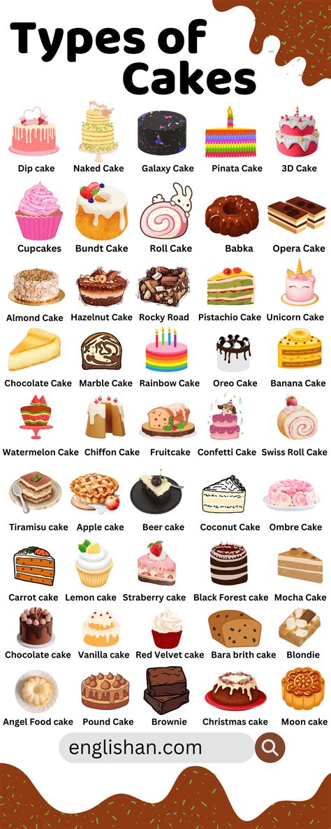 Different Types of Cakes Names Infographics