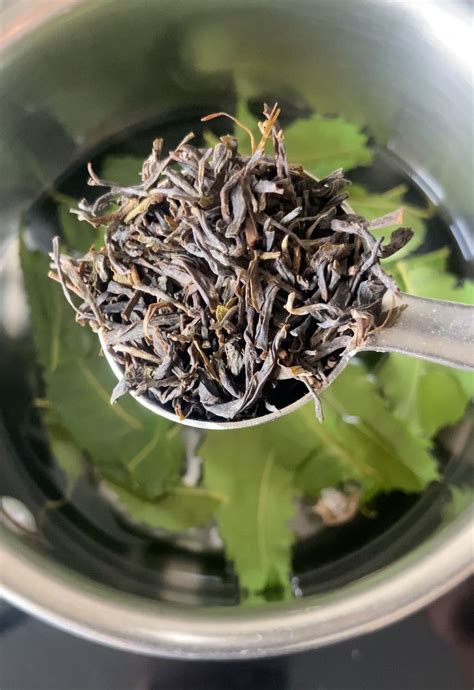 Paw Healing Herbal Spray for Pododermatitis – Good Mama