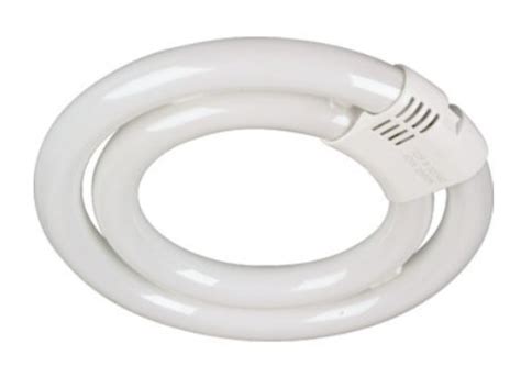 Buy TCP Fluorescent Double Circline Bulb - Features T6 Shape and G10q ...
