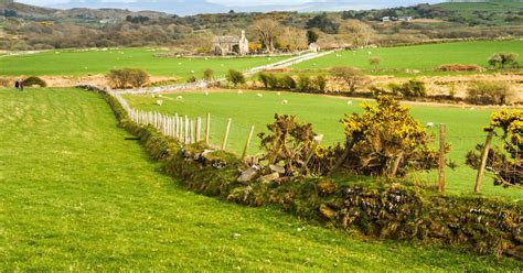 Welsh Government’s subsidy scheme ‘will decimate farming communities ...