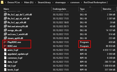 RDR2 Activation Error 的图像结果