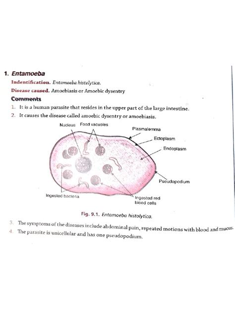 Image result for Practical Biology Experiments