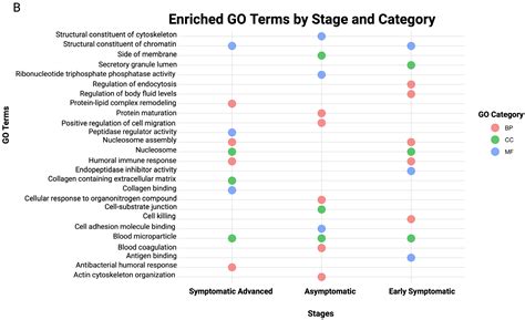 Stage-Specific Serum Proteomic Signatures Reveal Early Biomarkers and ...