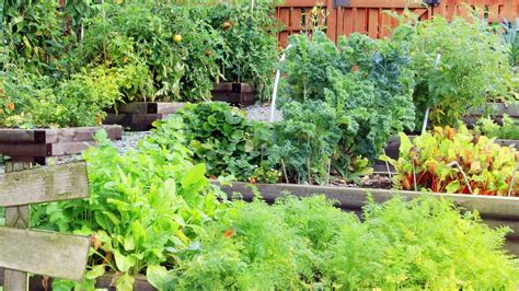 Grow Your Own Food - Vegetable Gardening, 7095 US-89, Willard, UT ...
