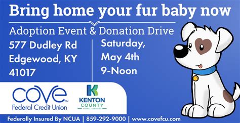 Kenton Animal Shelter Adoption Event, Cove Federal Credit Union ...