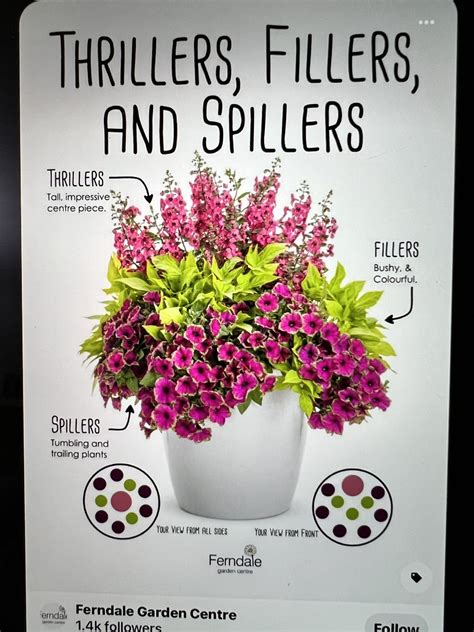 Types of Flowers in a Pot Poster