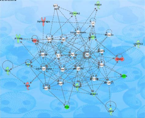 Image result for Amino Acid Post-Translational Modification