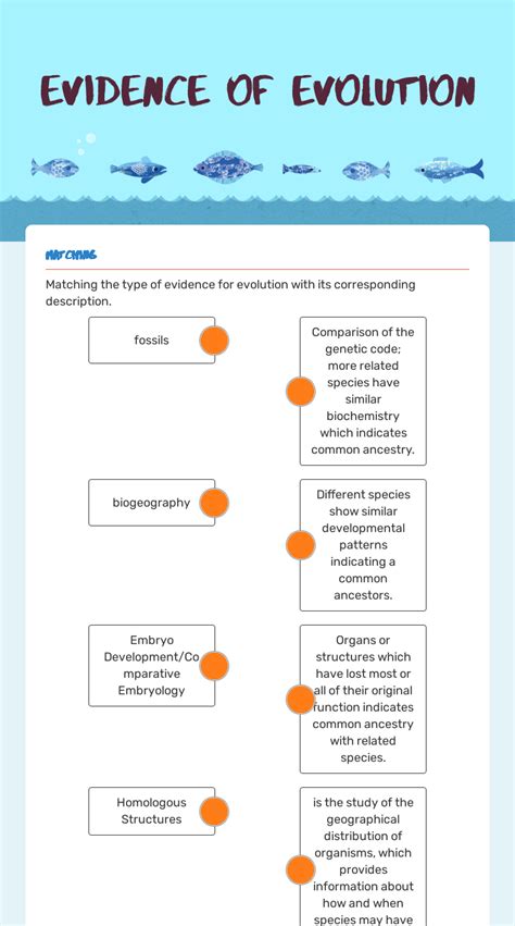 Evidence for Evolution Worksheet 的图像结果