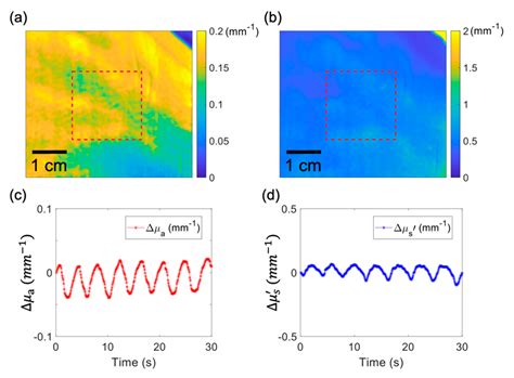 Ultracompact Deep Neural Network for Ultrafast Optical Property ...