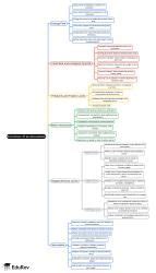 Mind Map: Functions of an Ecosystem - UPSC PDF Download