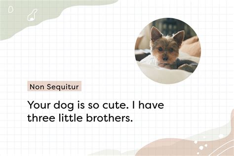 Image result for Example of Non Sequitur