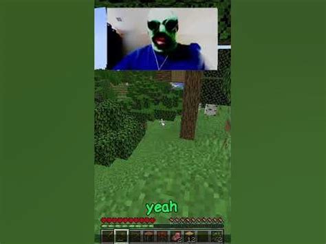 Image result for cheappickle