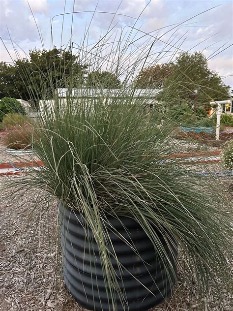 Ollie’s opens Midland and Odessa stores early; grand opening scheduled