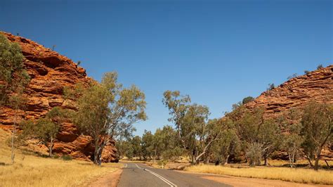 15 Papa Murphy Pizza Nutrition Facts - Facts.net