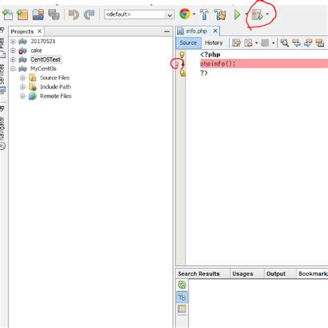 Image result for Debug Netbean