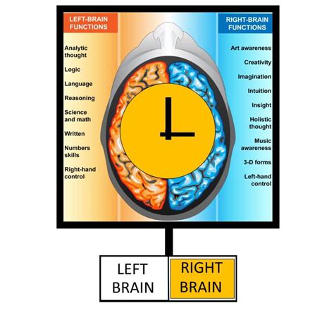 Image result for Counterclockwise Brain