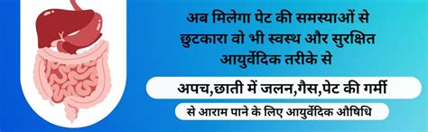 Healthally Ayurvedic Digestive Appetizer Syrup/Tonic for Acidity Gas ...