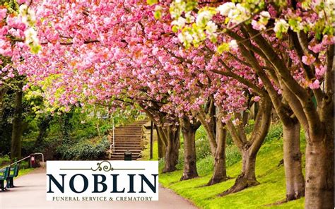 Noblin Funeral Service - Home | Facebook