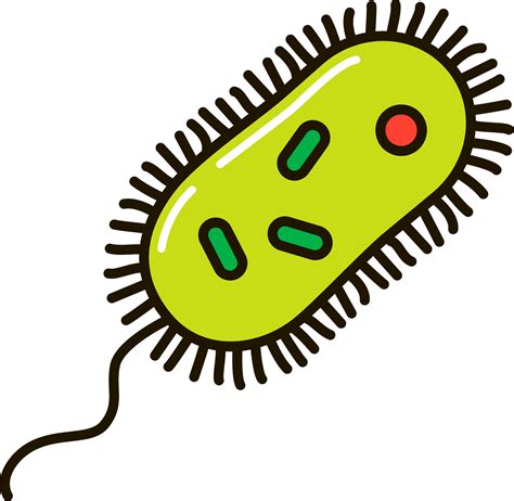 Ubiquity Of Microorganisms Bacteria