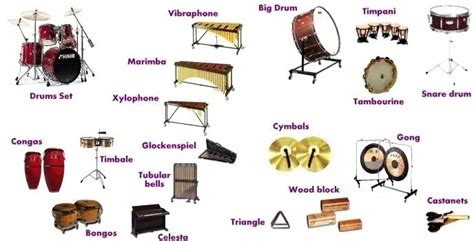 Image result for Percussion Section Instruments