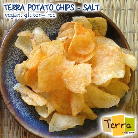 Terra-Potato Chips Salt – Terra Earthfood