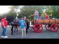 carrozze e cavalli sfilata cavalli carri e carrozze 2017 alezio carrozze e cavalli sfilata cavalli carri e carrozze 2017 alezio