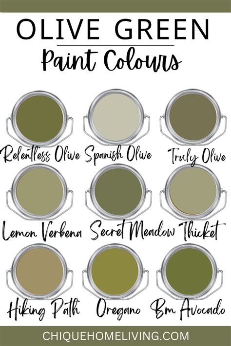 28+ Best Olive Green Paint Colors