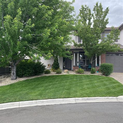 Amazon.com : Outsidepride 5 lb. Monaco (from Riviera) Bermuda Drought ...