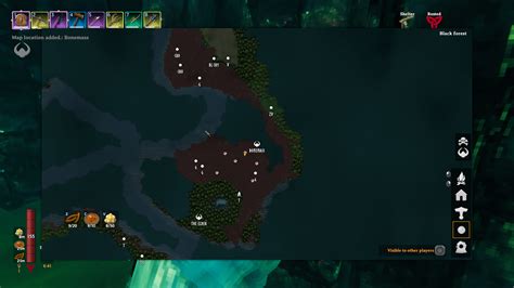 Image result for Valheim Swamp Crypt