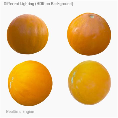 Melon 3D Model $19 - .fbx .obj .max .dae - Free3D