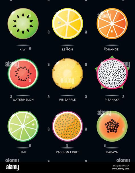 Fruit Cross Section Of Island Longitudinal Cut Of A Fruit Hi Res Stock