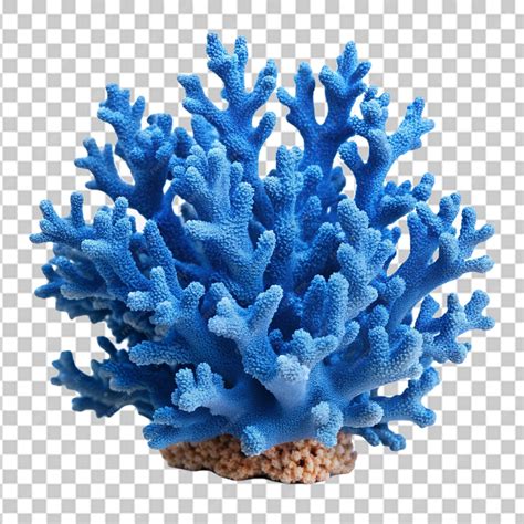 Premium PSD | Blue coral isolated on transparent background