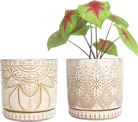 Amazon.com : Gepege 10 Inch Plant Pot, Ceramic Planter with Drainage ...