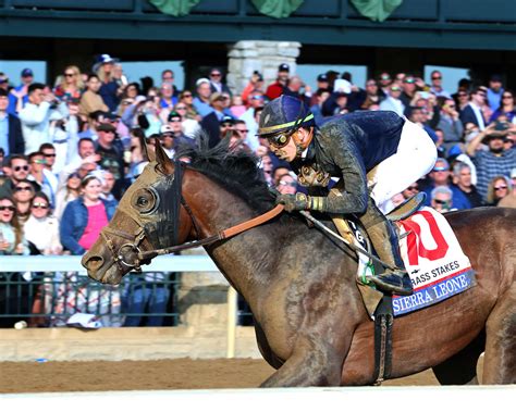 Study Guide: 2024 Kentucky Derby | News | Kentucky Derby