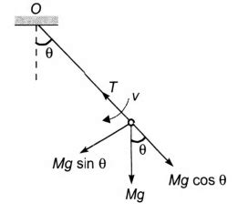 A simple pendulum of length L and mass (bob) M is oscillating in a ...